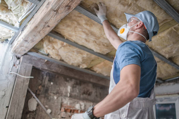 Best Cellulose Insulation in Beaver, WV